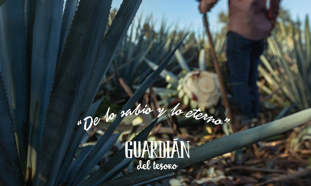 Guardian del tesoro